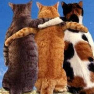 Meet your Posher, Olga